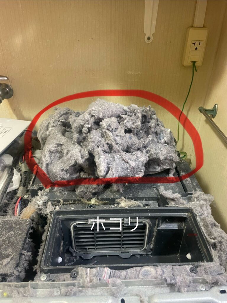 大量に洗濯機内部埃がありました。