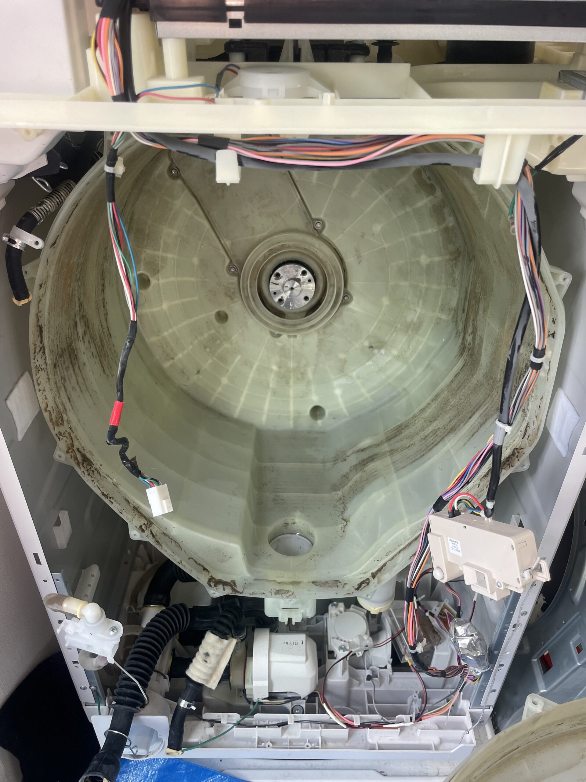 洗濯槽 清掃前 カビ汚れ 群馬県前橋市 便利屋BUZZ