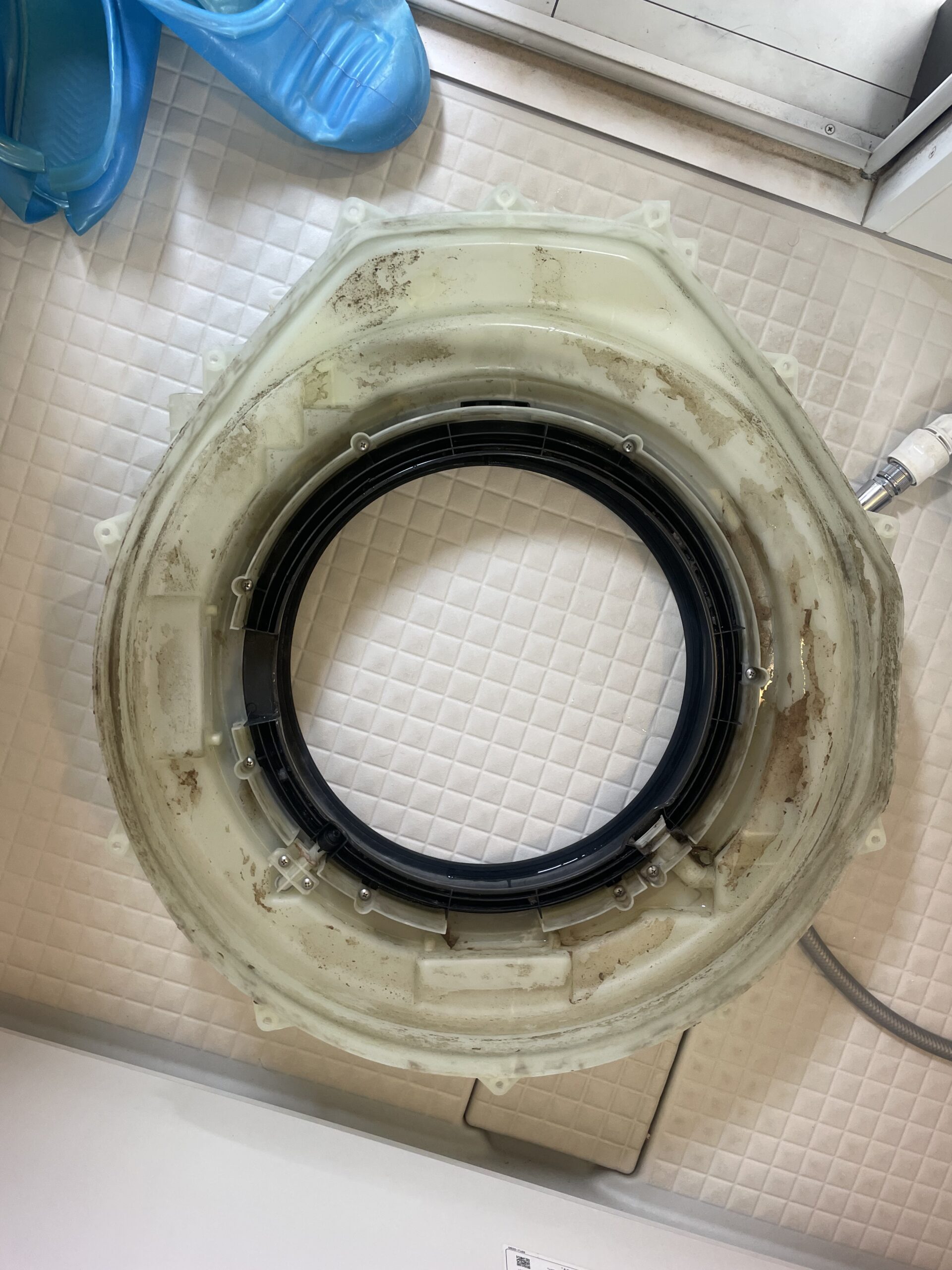 脱水受けカバー 清掃前