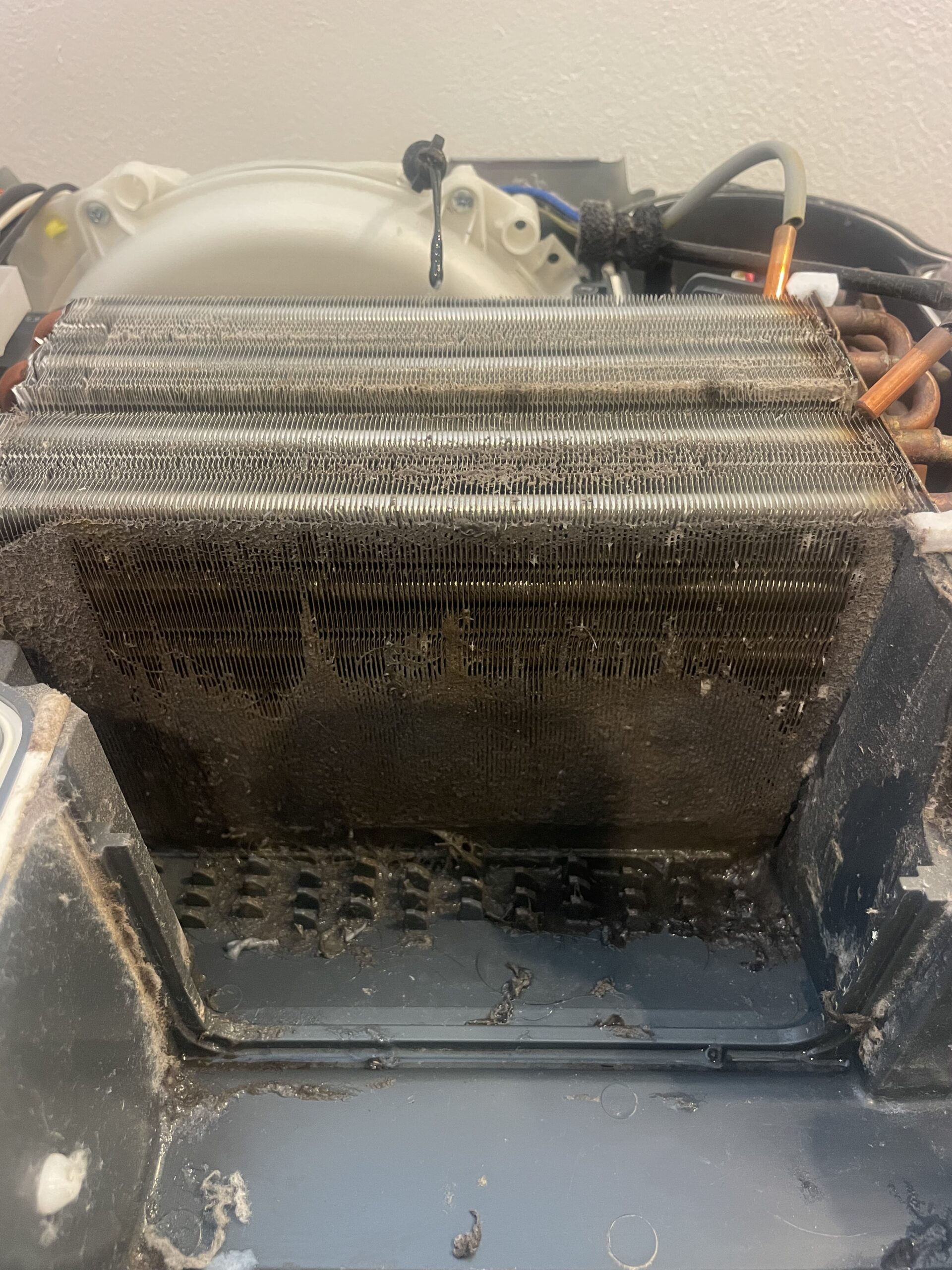 ヒートポンプ洗浄前の汚れた状態