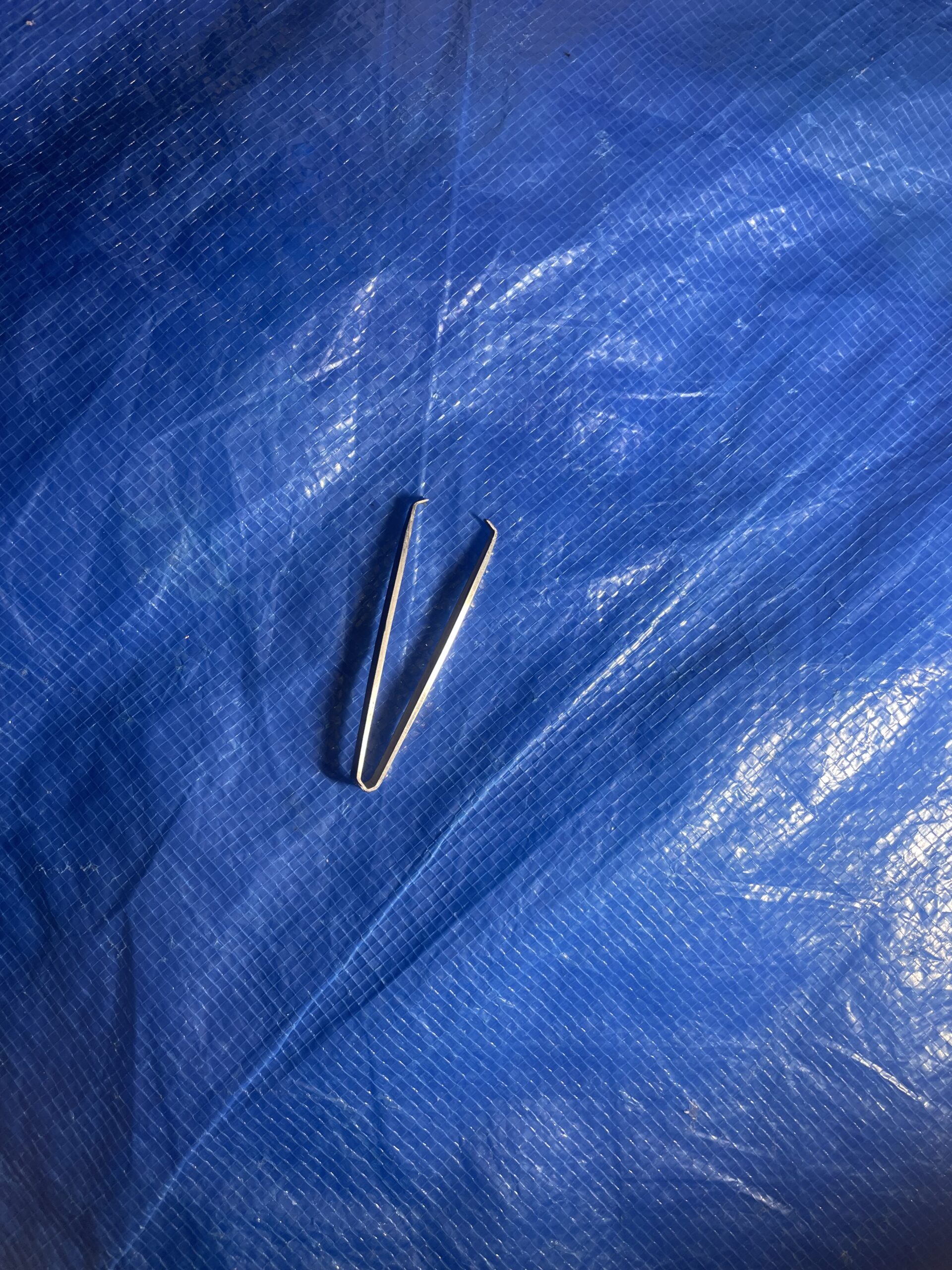 洗濯機から取り出したピンセット